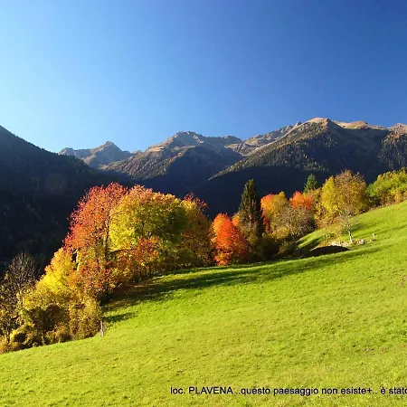 Alpen Garten Margherita Hotel